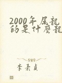 2000年属龙的是什么龙