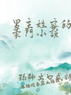 男主姓容的现代豪门小说