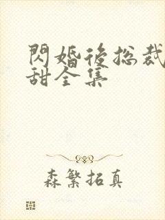 闪婚后总裁娇妻甜全集