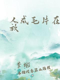 人成毛片在线播放