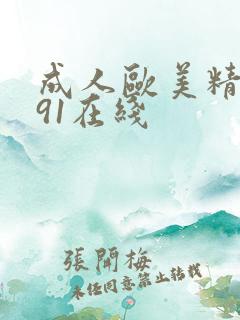 成人欧美精品大91在线