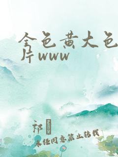 全色黄大色黄大片www