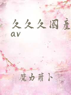 久久久国产精品av