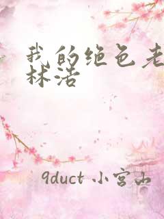 我的绝色老板娘林浩