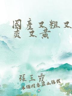 国产又粗又猛又爽 又黄