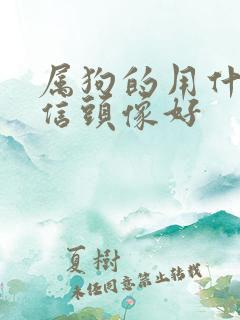 属狗的用什么微信头像好