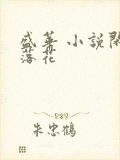 盛华 小说闲听落花