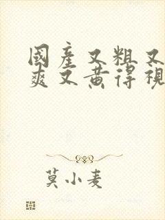 国产又粗又猛又爽又黄得视频