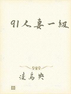 91人妻一级片