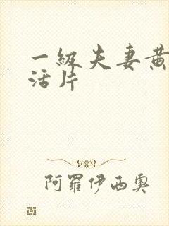 一级夫妻黄色生活片