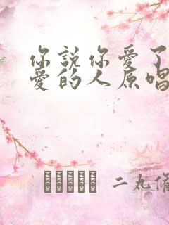 你说你爱了不该爱的人原唱完整版