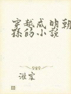 穿越成明朝皇太孙的小说