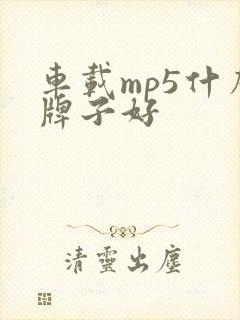 车载mp5什么牌子好