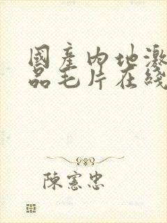 国产内地激情精品毛片在线一