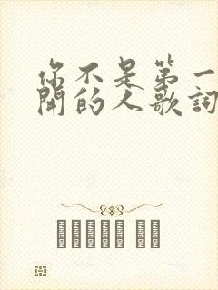 你不是第一个离开的人歌词