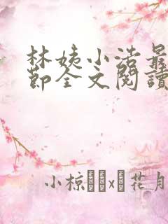 林姨小浩最新章节全文阅读