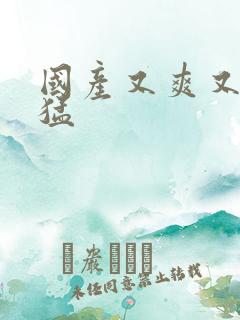 国产又爽又黄又猛