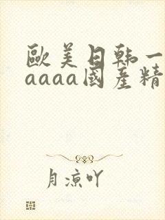 欧美日韩一级aaaaa国产精品