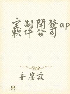 定制开发app软件公司