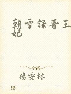 朝雪录晋王和瑾妃