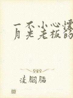 一不小心怀了白月光老板的崽短剧资源