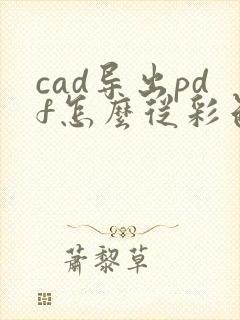 cad导出pdf怎么从彩色变黑白