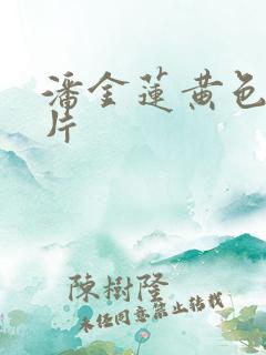 潘金莲黄色录像片