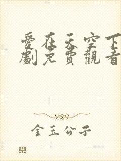 爱在天空下电视剧免费观看全集高清