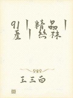 91丨精品丨国产丨丝袜