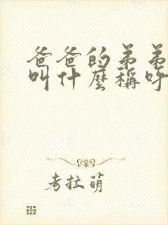 爸爸的弟弟老婆叫什么称呼