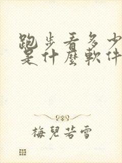 跑步看多少公里是什么软件