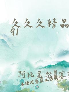 久久久精品国产91