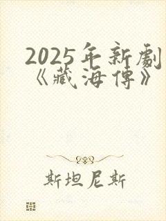2025年新剧《藏海传》