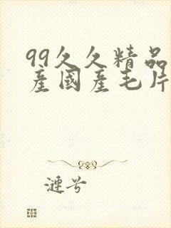 99久久精品国产国产毛片