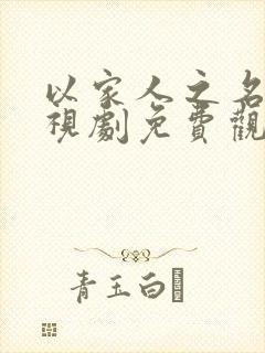 以家人之名 电视剧免费观看