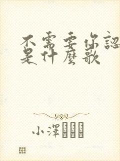 不需要你认识我是什么歌