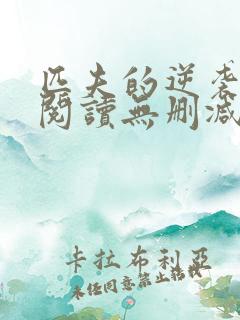 匹夫的逆袭全文阅读无删减