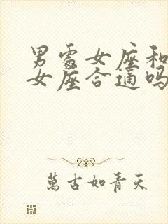 男处女座和女处女座合适吗