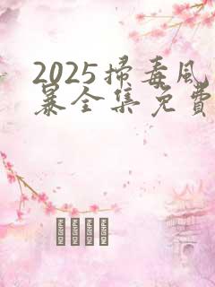2025扫毒风暴全集免费观看