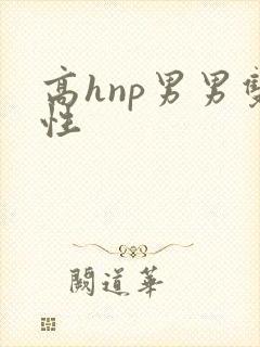 高hnp男男双性