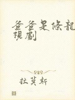 爸爸是条龙的电视剧