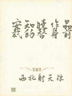 安知晓作品:总裁的替身前妻 小说