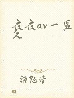 夜夜av一区久久