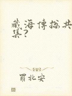 藏海传总共多少集?