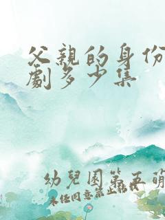 父亲的身份电视剧多少集