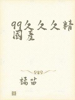 99久久久精品国产
