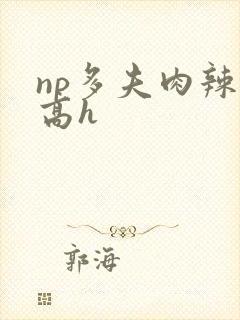 np多夫肉辣文高h