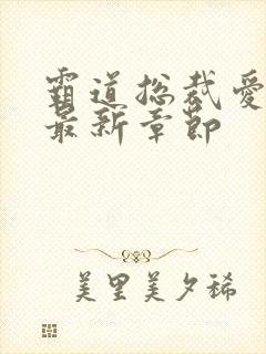 霸道总裁爱上我最新章节