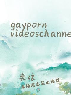 gaypornvideoschannels