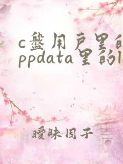 c盘用户里的appdata里的local